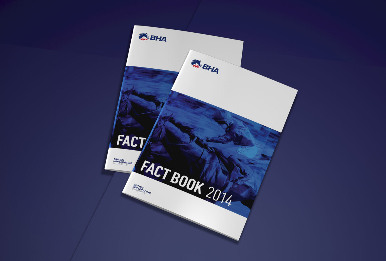 Fact Book Design