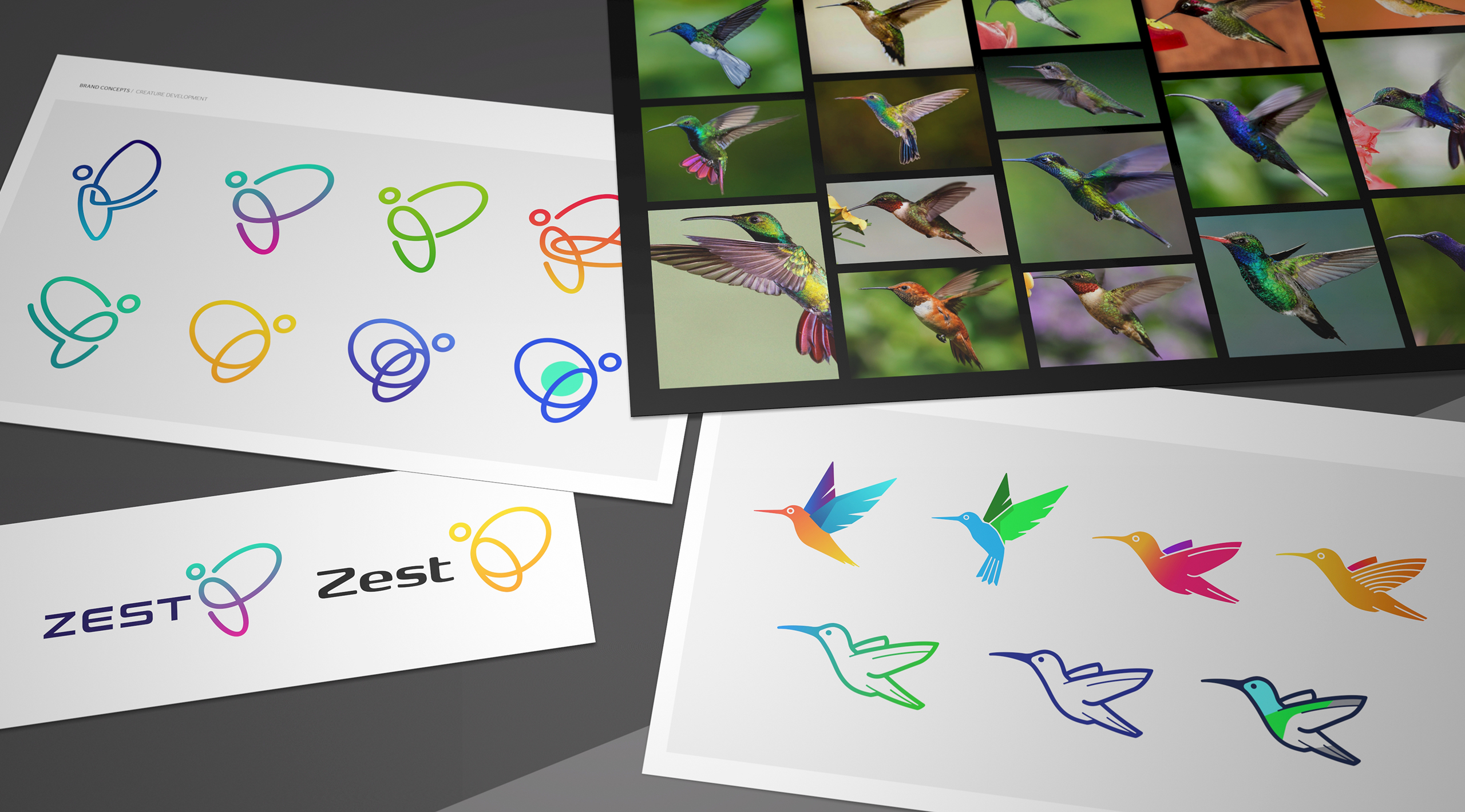 The creative shortlisting process led us to the choice between a firefly or hummingbird emblem.
