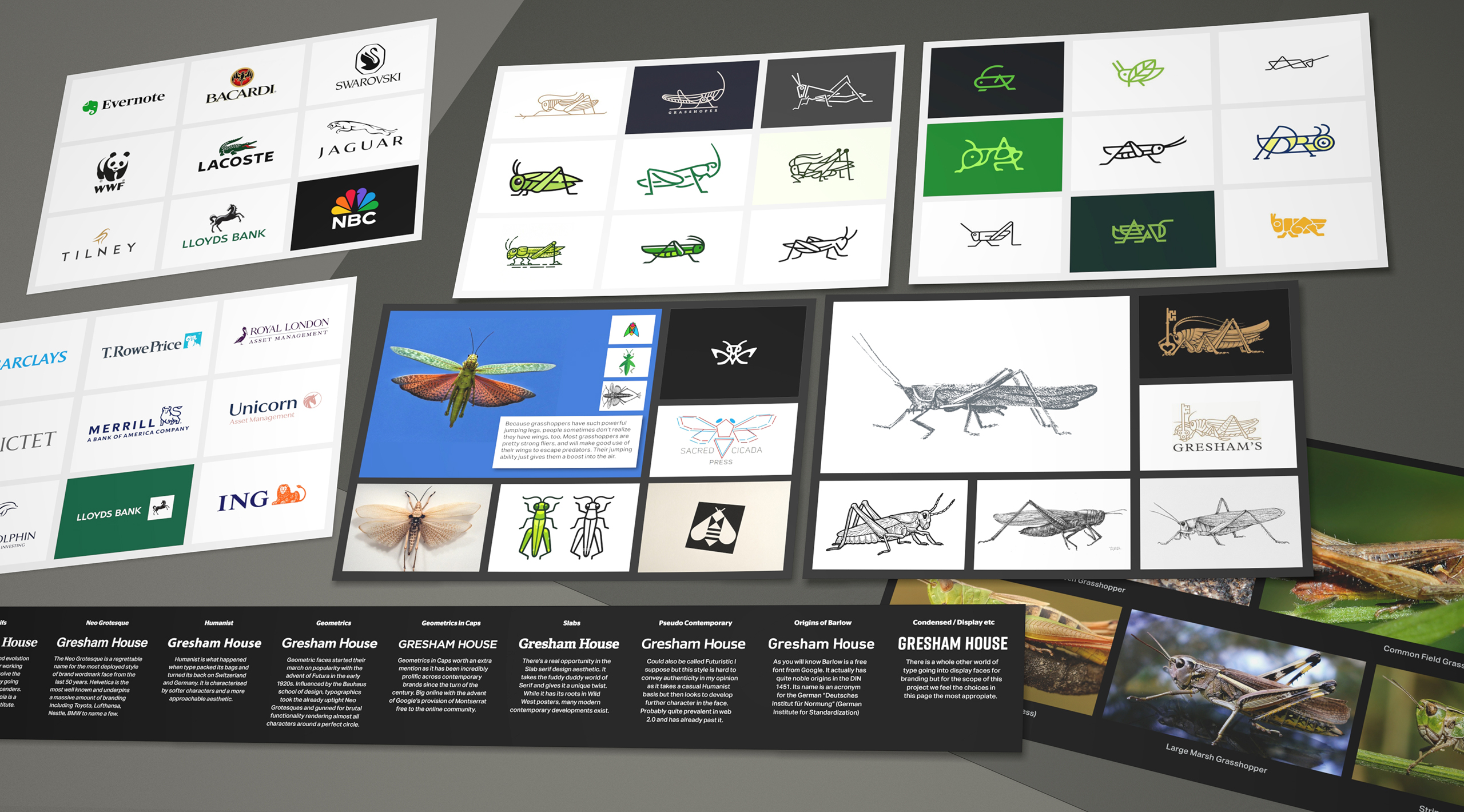 We conducted a research exercise whereby we studied a raft of grasshopper icons and treatments. It's a challenging little creature, with much detail and structure.